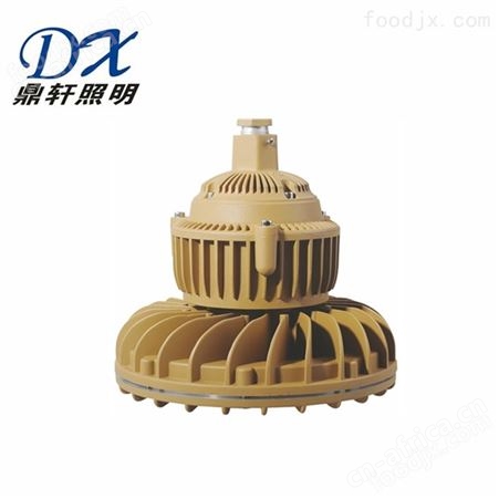 BDE608鼎轩厂家BDE608LED免维护防爆泛光灯