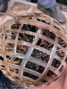 聚氨酯海绵微生物载体填料哪家好