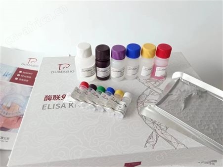 销售ELISA试剂盒