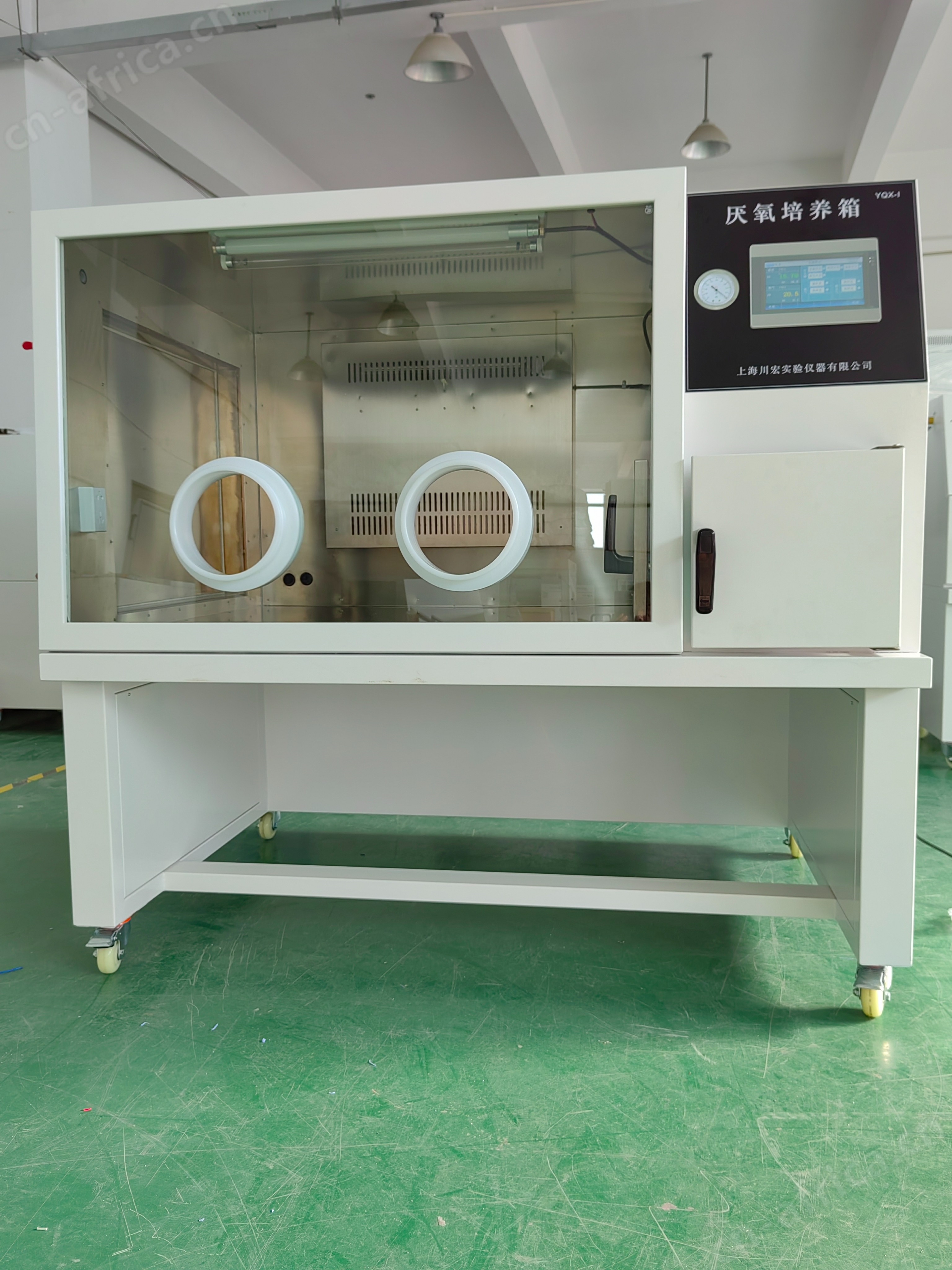 厌氧培养箱YQX-III氧浓度显示