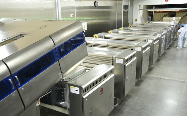 大型自动挂面机